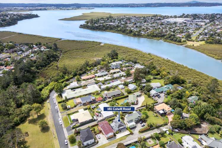 161f Colwill Road Massey_23