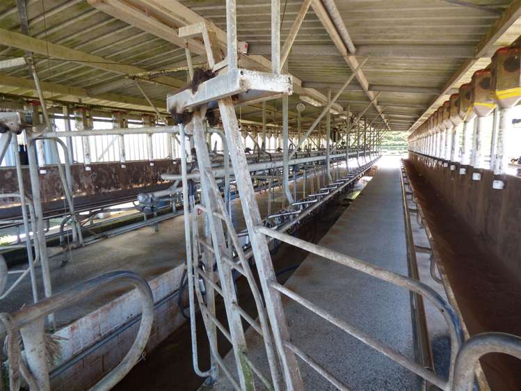 336 Grove Road Te Pahu_27