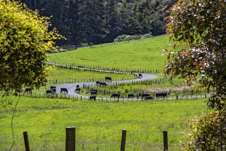 442 Whareora Road Whareora_15