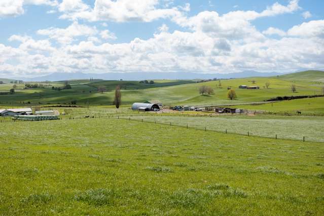 17 Chepmell Road Morrinsville_1
