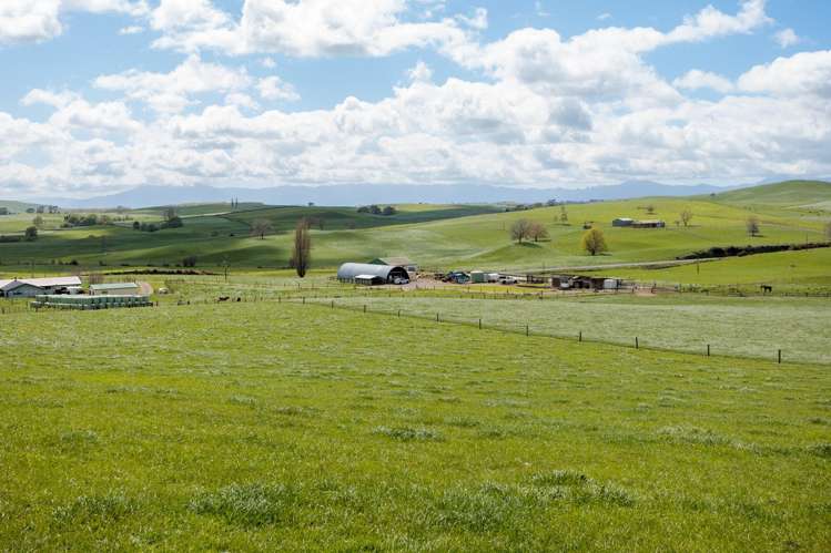 17 Chepmell Road Morrinsville_1