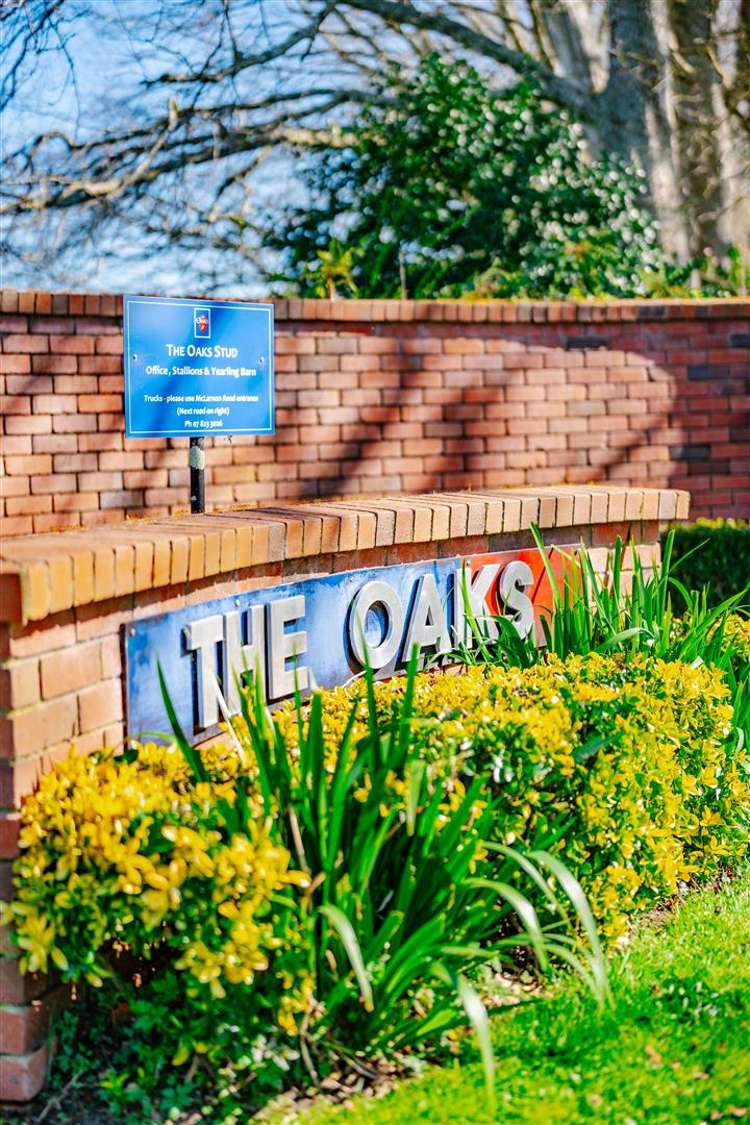 122 Rotoorangi Road Cambridge_12