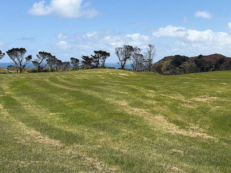 Lot 1 Redhill Road Te Kopuru_13