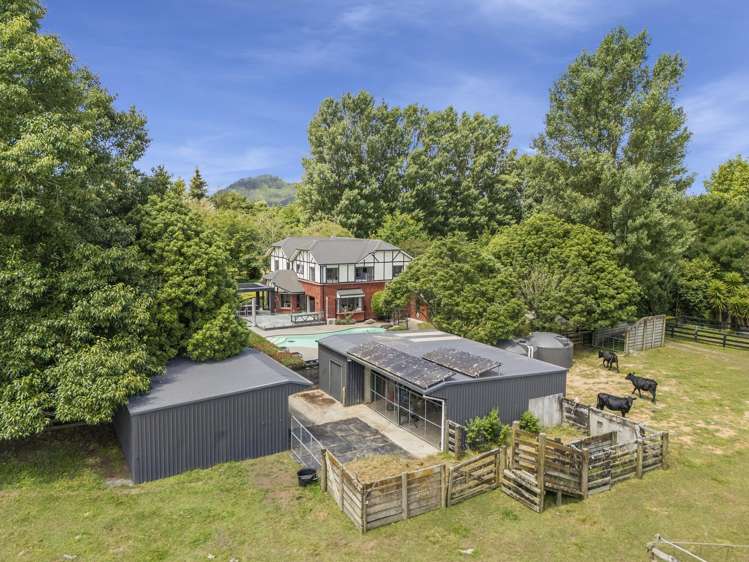 300a Bellevue Road Matangi_22