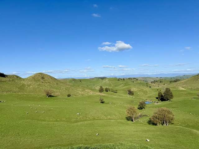 515 Ruanui Road Taihape_3