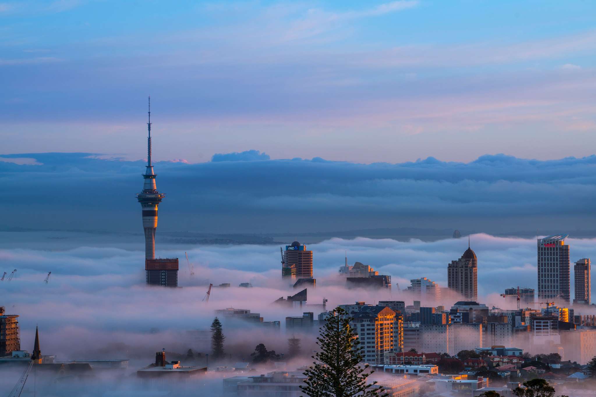 Auckland housing market continues to cool