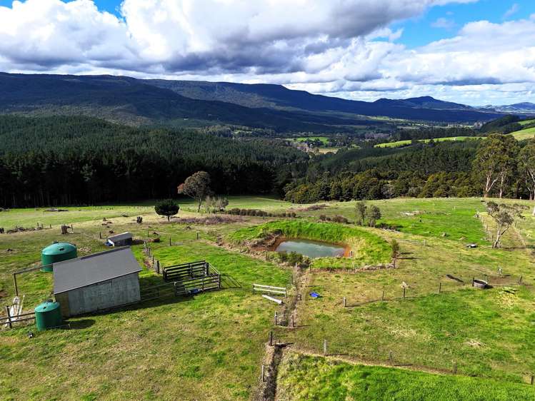 3364B State Highway 12 Aranga_25