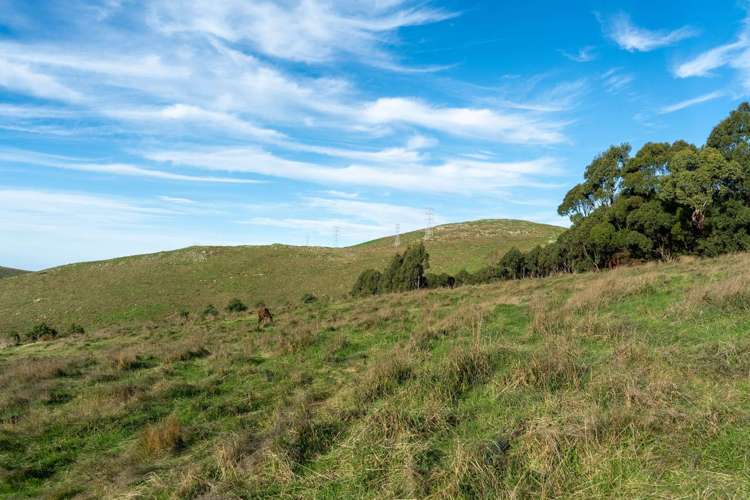 231 Huntsbury Avenue Cashmere_11