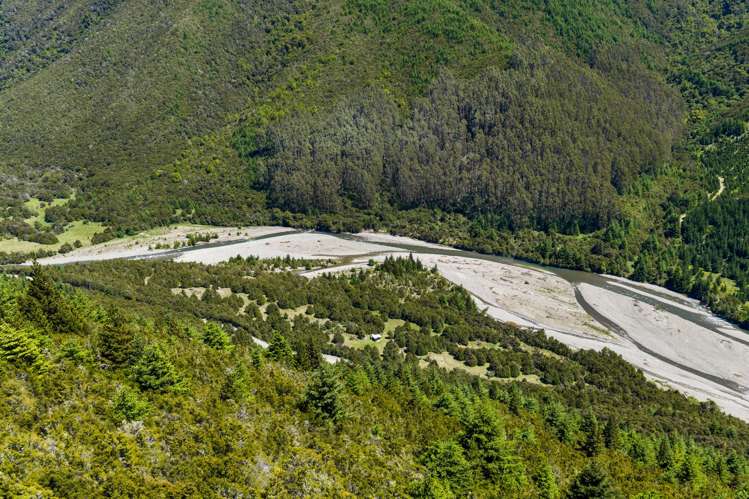 Leatham Road Wairau Valley_25