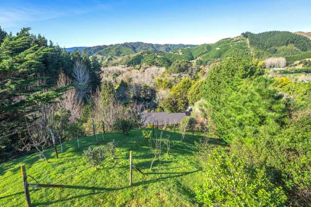 117 Nikau Palm Road Paraparaumu_1