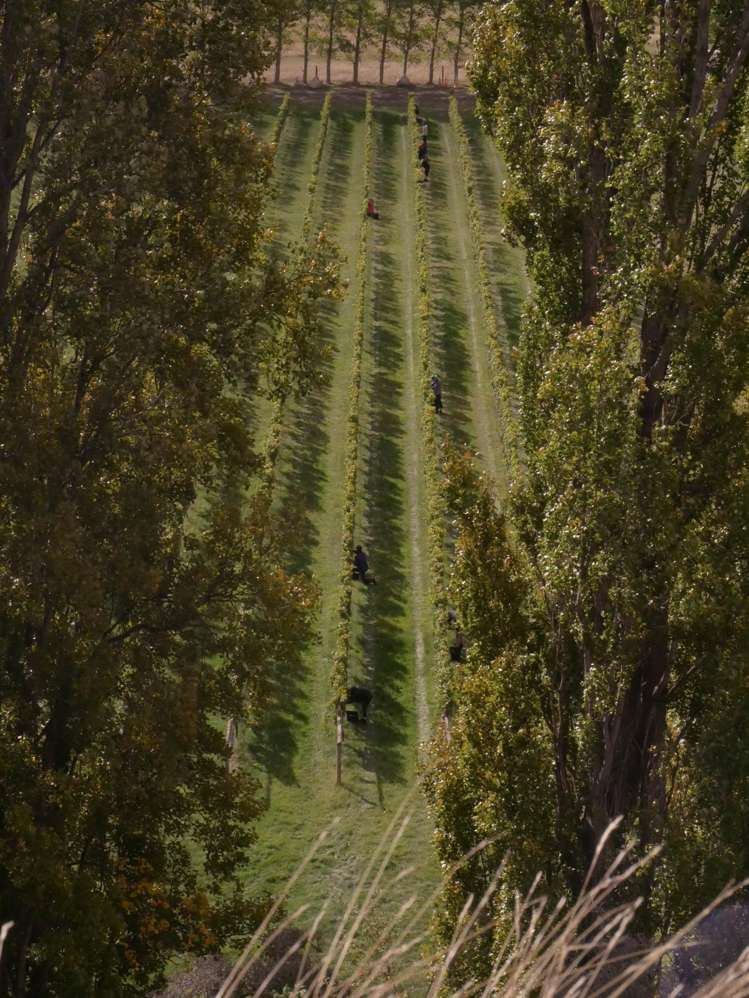 376 Ram Paddock Road Waipara_10