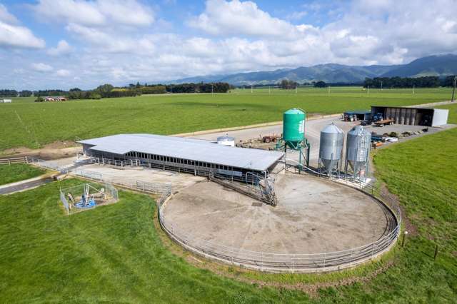 651 Top Grass Road Dannevirke_4