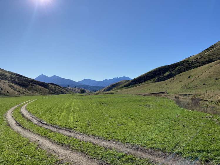 3459 State Highway 63 Wairau Valley_14