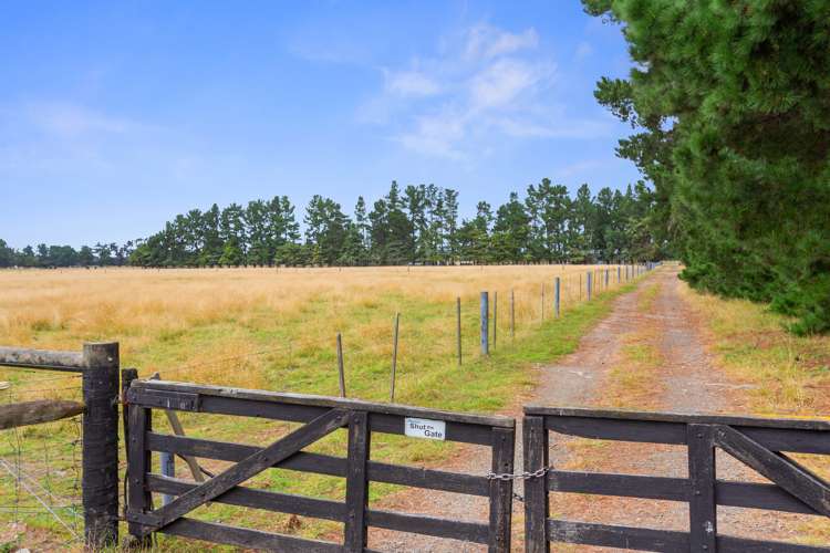 317 Innes Road Amberley_15