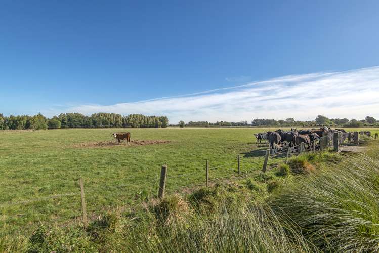 113 Quaifes Road Halswell_8