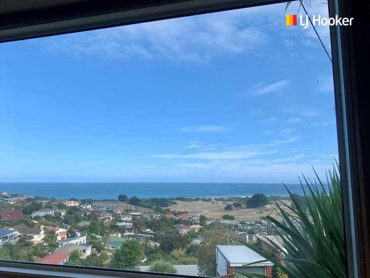 8 Hunt Street Andersons Bay_14