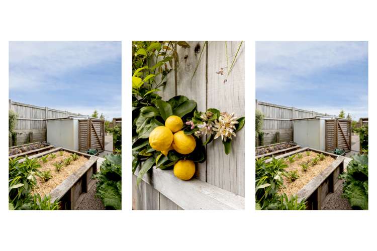 42 Kapuka Street Papamoa_29