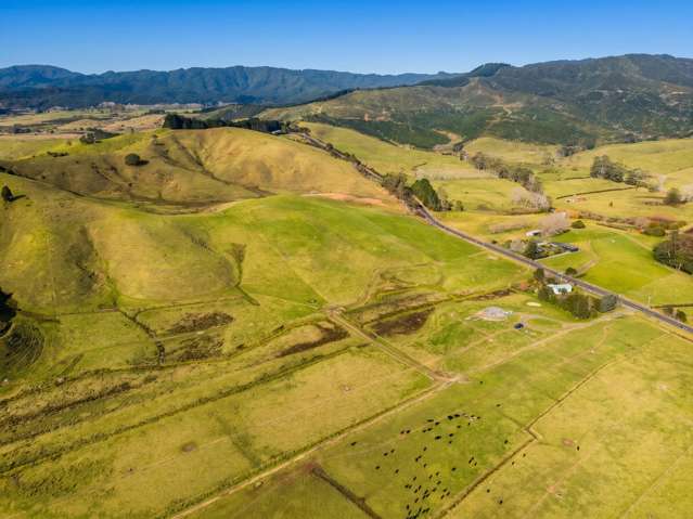 Lot 1 Proposed Subdivision of 157 Sh25 Te Rerenga_4