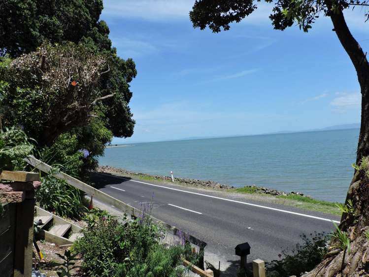 824 Thames Coast Road Te Mata_22