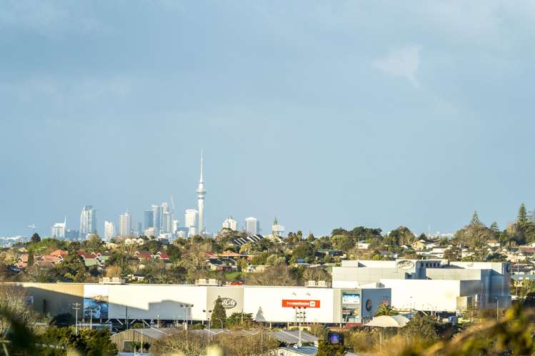 81 Spence Road Henderson_13