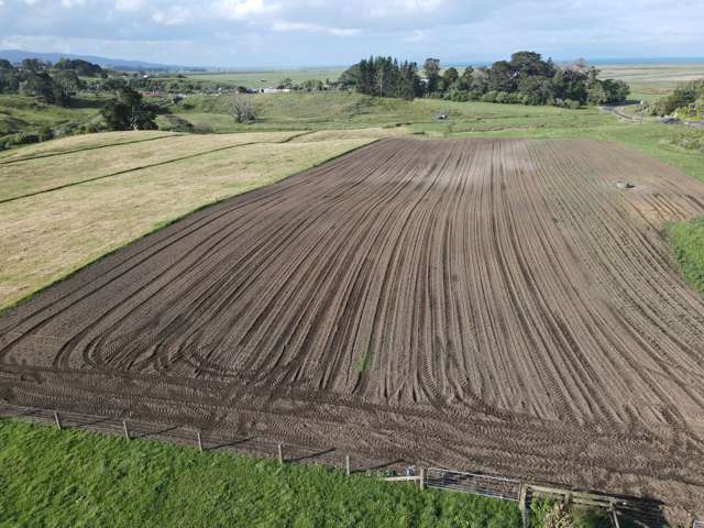 927 Findlay Road Hauraki Surrounds_1