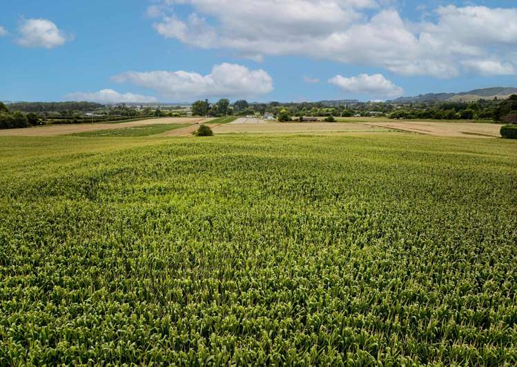 1200 State Highway 1 Manakau_10