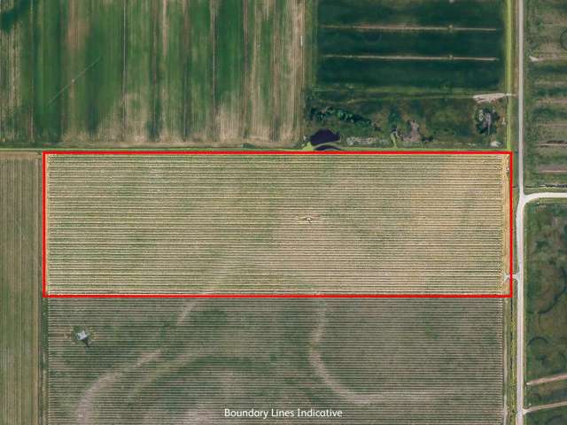 91 Eckfords Road Blenheim_2