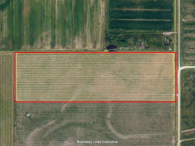 91 Eckfords Road Blenheim_2