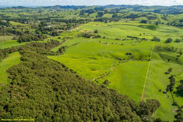 125 Wilson Road Hunua_2
