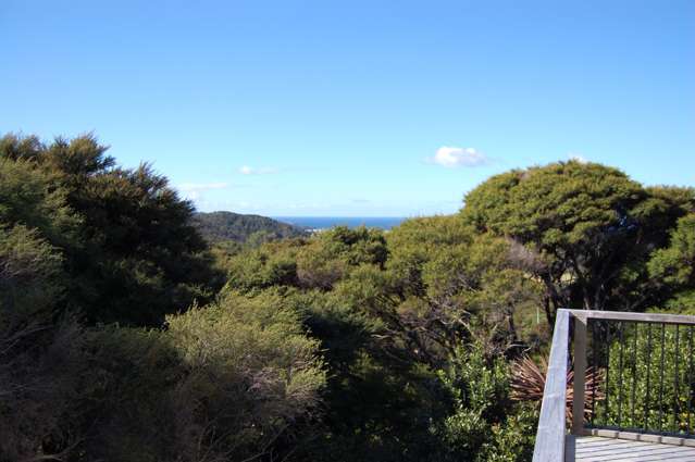 224a Blind Bay Road Great Barrier Island (Aotea Island)_3