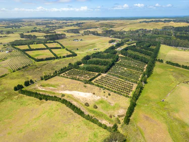 5126 State Highway One Ngataki_4