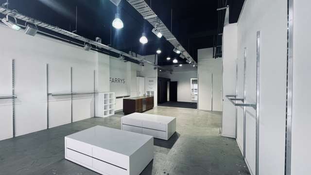 Unit 2/187 Featherston Street Wellington Central_3