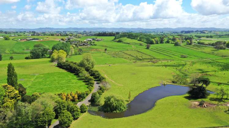 44 Wallace Road Temple View_1