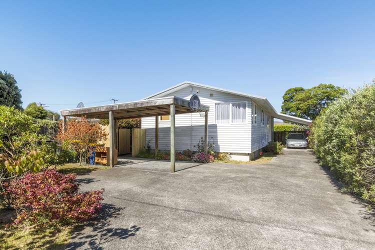 16 Rickards Place New Lynn_1