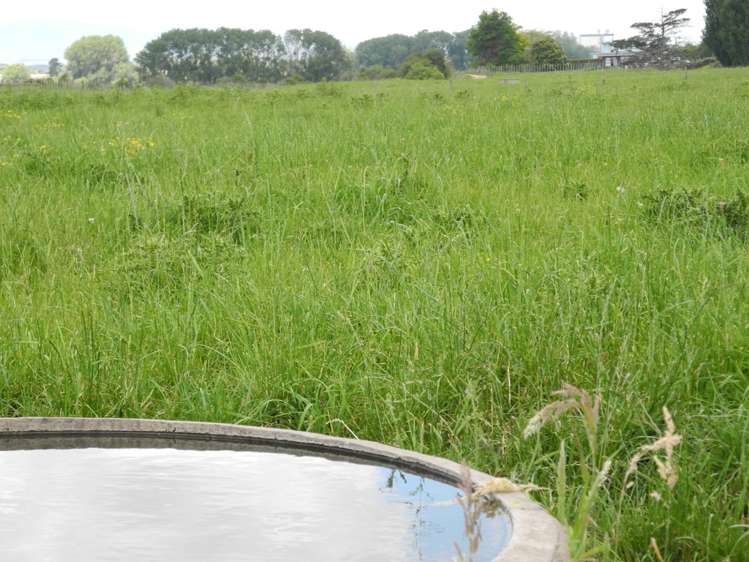 82 Pirongia Road Te Awamutu_13