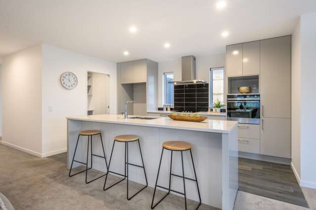 184 Cook Street Howick_2