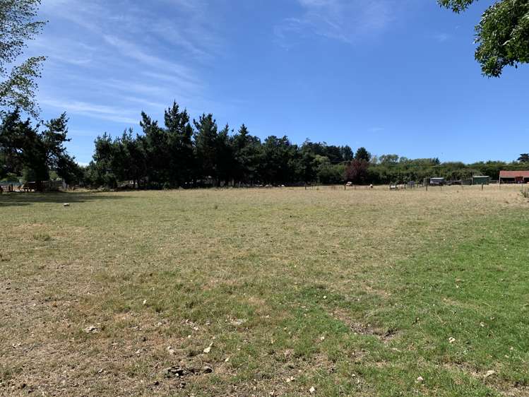 113 Ward Road Cheviot_8