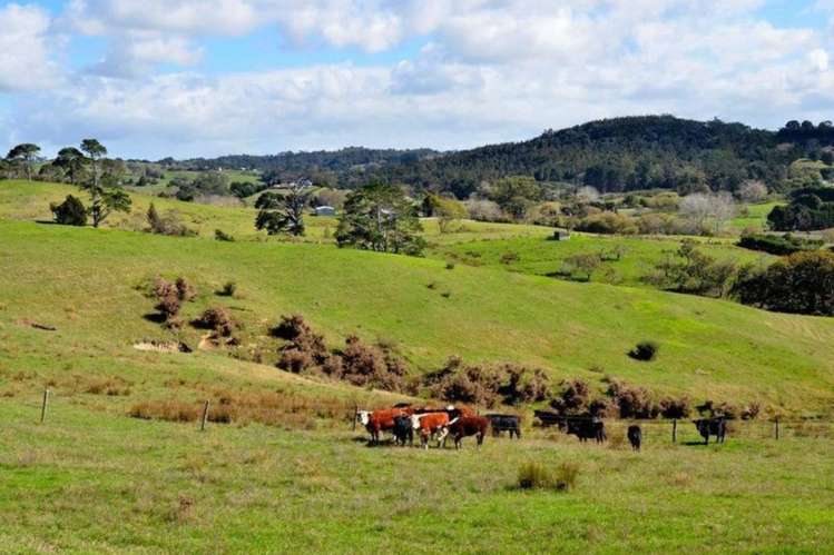 Pine Valley Road Wainui_2