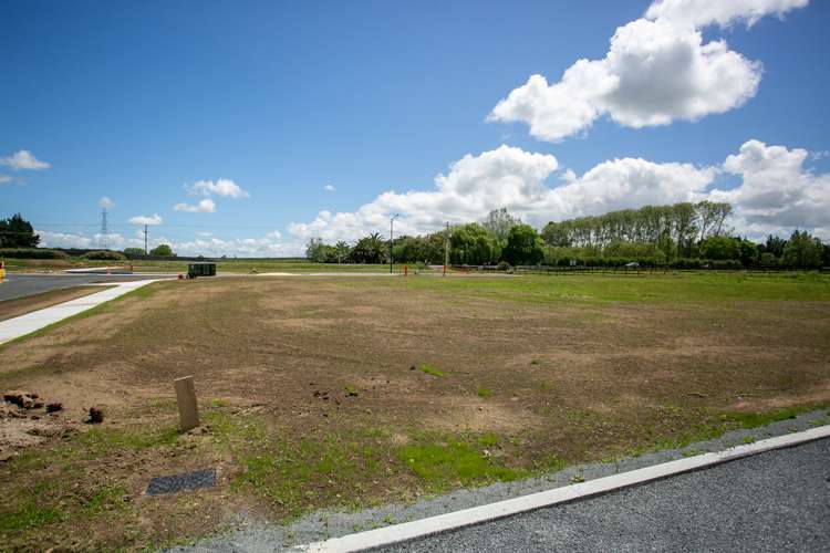 14 Hauhake Terrace Leamington_5