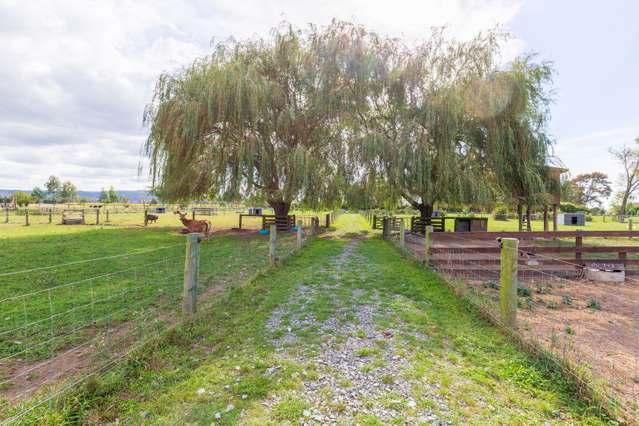 3 Front Miranda Road Waitakaruru_1