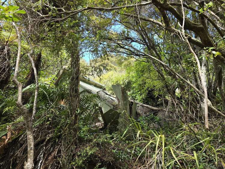 15 Excelsior Road Stewart Island_7