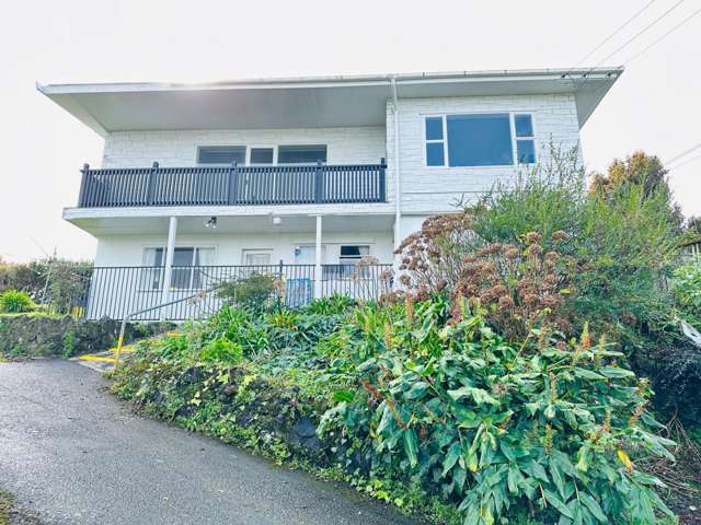 420A Ellerslie Panmure Highway 1816_2