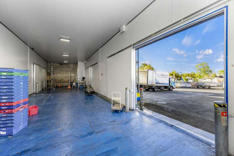 40 Honan Place Avondale_4