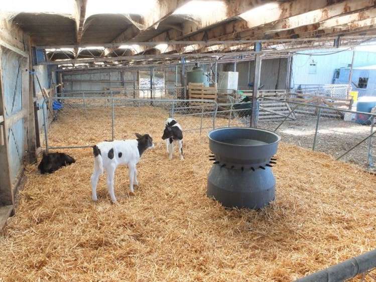 3 Limehills Browns Road Winton Surrounds_14