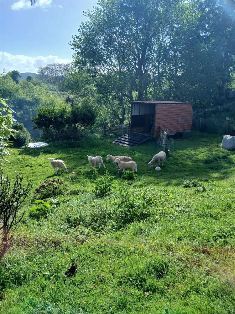 970 State Highway 3 Kai Iwi_14