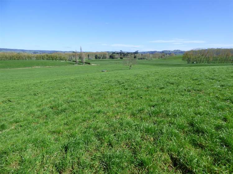 336 Grove Road Te Pahu_3