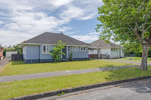 41 Rangiora Avenue, Roslyn