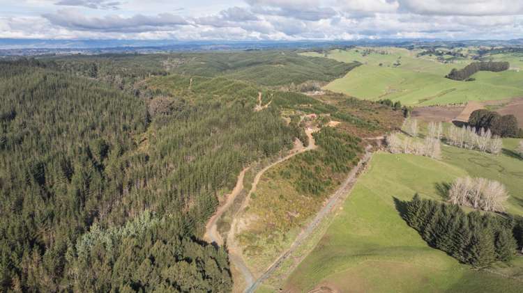 441 Waiwhero Road Ngatimoti_37