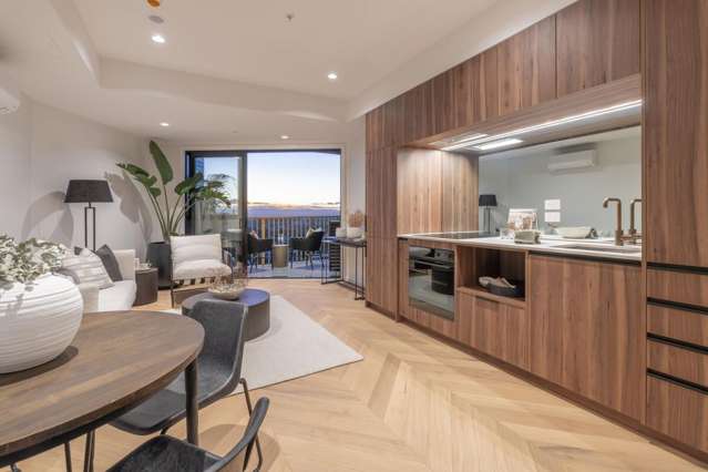20 Williamson Avenue Grey Lynn_2