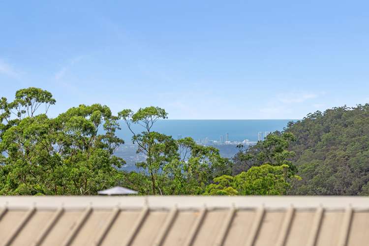 95 Contour Road Tamborine Mountain_21